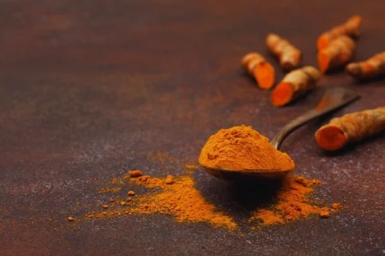 Cuillère de curcuma Lakadong en poudre avec racines de curcuma