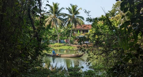 Les backwaters de Kerala, dans le Sud de l'Inde