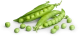 Petits pois