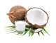 Lait de coco