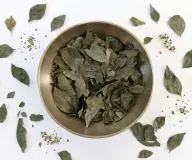 Foglie di curry essiccate dell'Uttarakhand