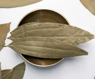 Feuilles de laurier indien (Tej Patta)