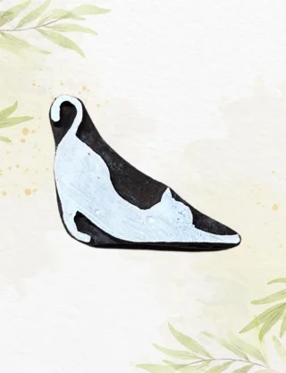 Produit Chat qui s'etire Image