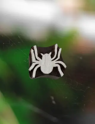 Produit Araignée Image