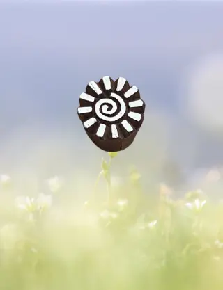 Produit Petit soleil Image