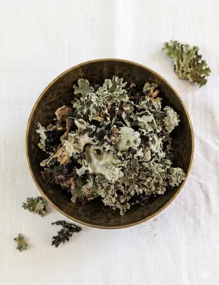 Produit Fleur de pierre (Dagad Phool) Image