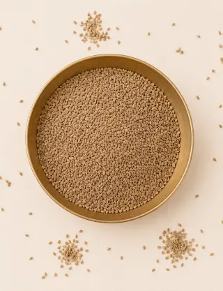 Prodotto Semi di ajwain del Rajasthan Immagine