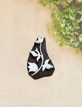 Produit Lierre Image