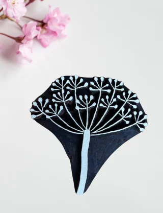 Produit Fleur d'aneth Image