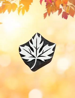 Produit Feuille d’erable Image