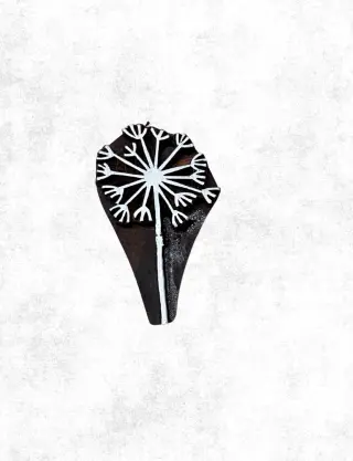 Produit Pissenlit avec graines au vent Image