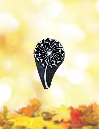 Produit Bourgeon de cerfeuil sauvage Image