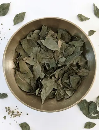 Produit Feuilles de curry séchées de l'Uttarakhand Image