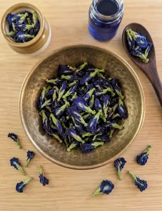 Produit Fleur de Pea Bleu (Aparajita) Image