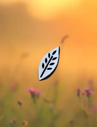 Produit Feuille de printemps Image