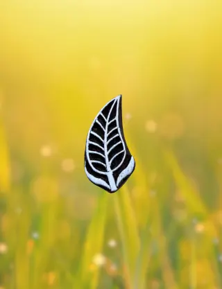 Produit Feuille décorative Image