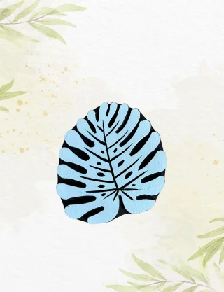 Produit Monstera détaillée Image