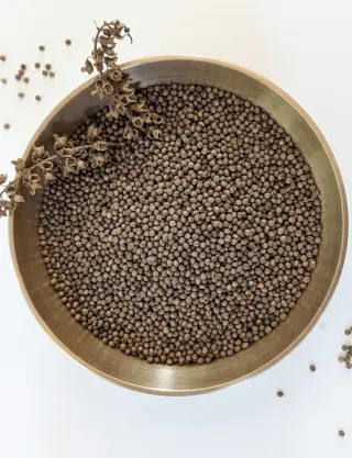 Produit Graines de Pérille (Shiso) Image