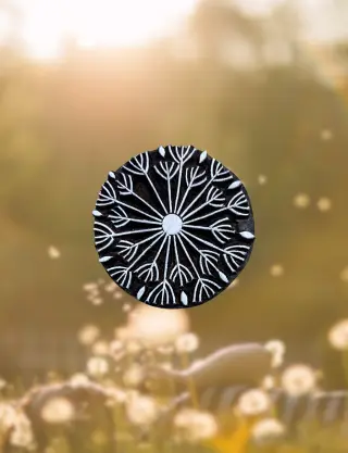 Produit Pissenlit détaillé Image