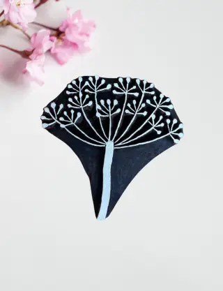 Produit Fleur d'aneth Image