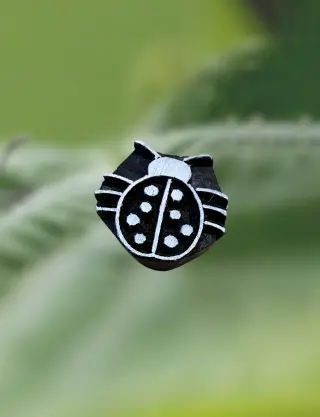 Produit Scarabée Image