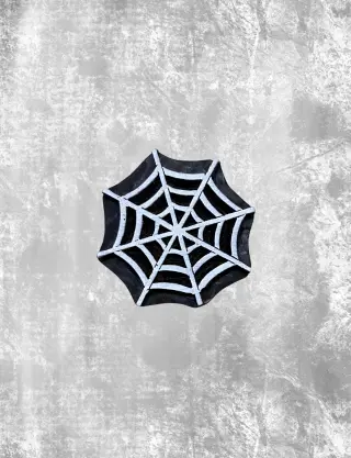 Produit Toile d'araignée Image