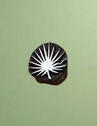 Produit Feuille de palmier Image