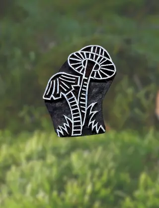 Produit Champignons sauvages Image