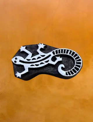 Produkt Eidechse Foto