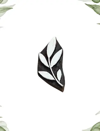 Produit Feuille de saule Image