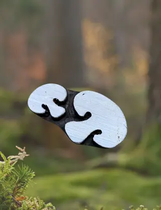 Produit Champignons Image