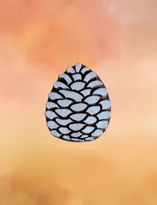 Produit Pomme de pin Image