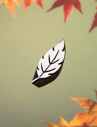 Produit Feuille d'automne Image