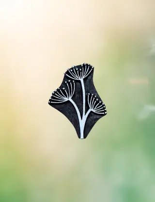 Produit Bouquet de cerfeuil sauvage Image