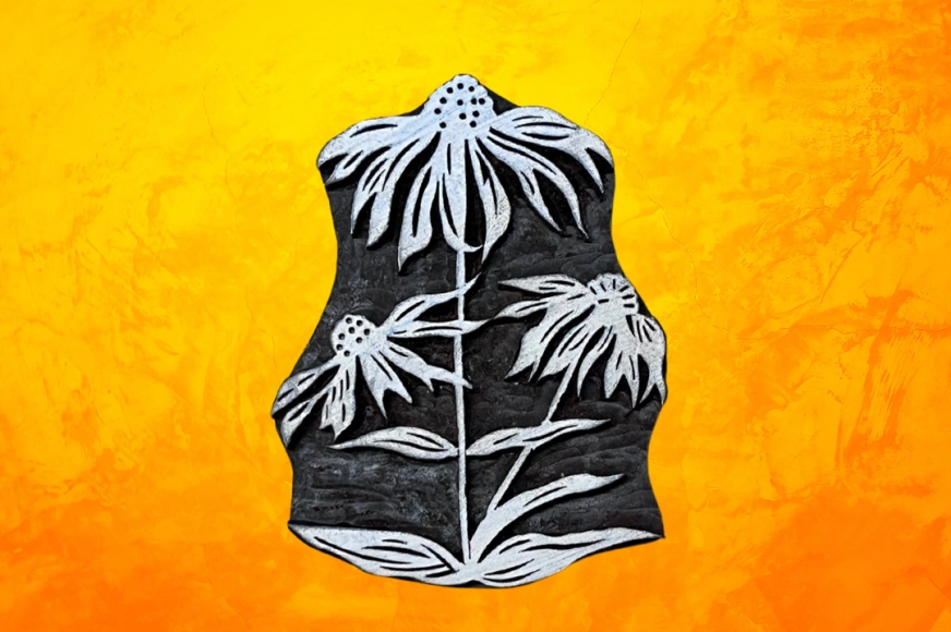 Résilience de l'été