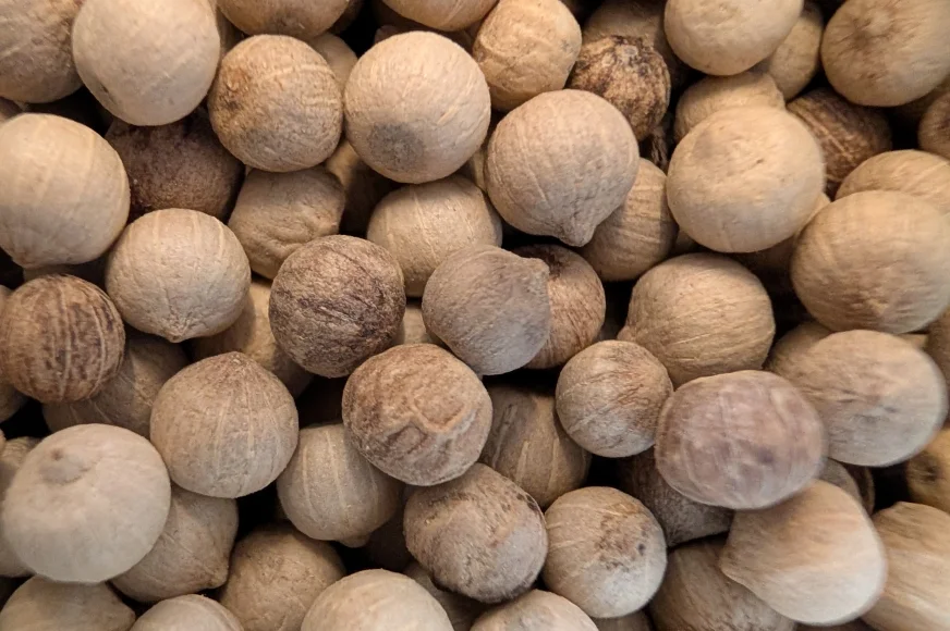 Poivre blanc en poudre