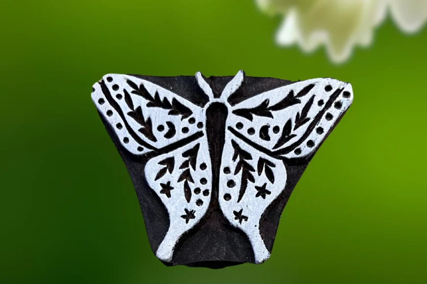 Papillon détaillé