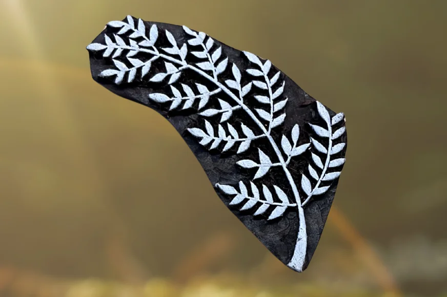 Brindille de fougère