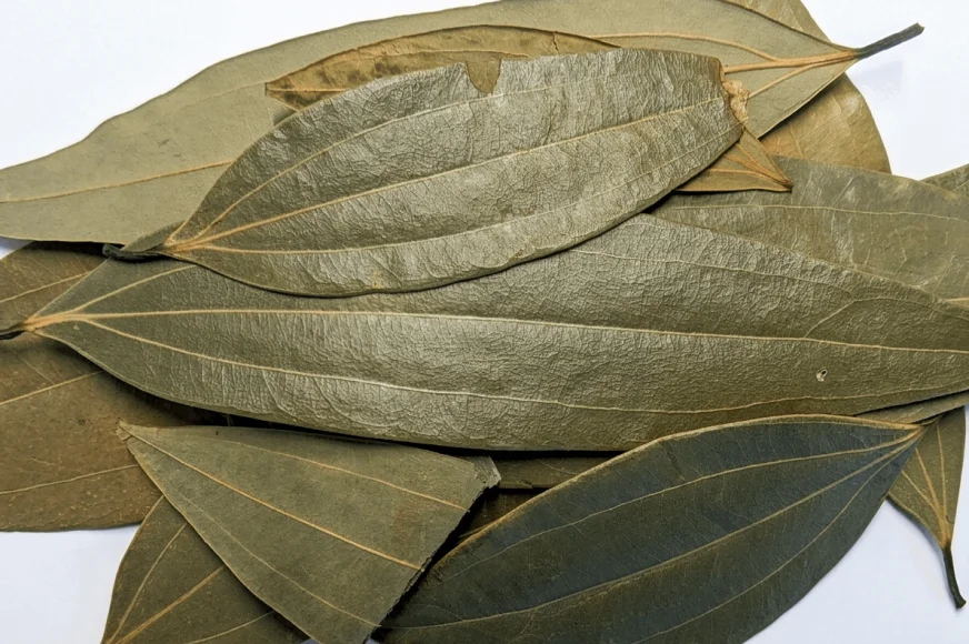 Feuilles de laurier indien (Tej Patta)