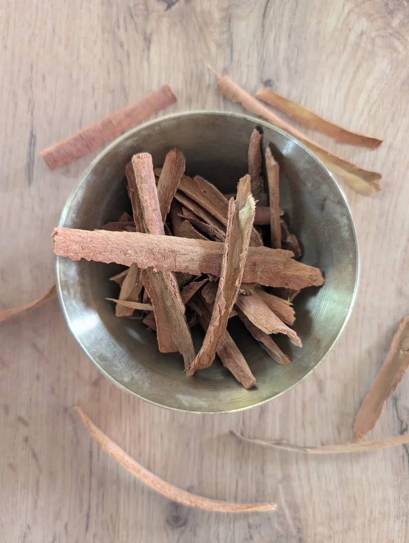 Cannelle du Kerala