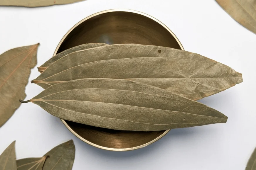 Feuilles de laurier indien (Tej Patta)
