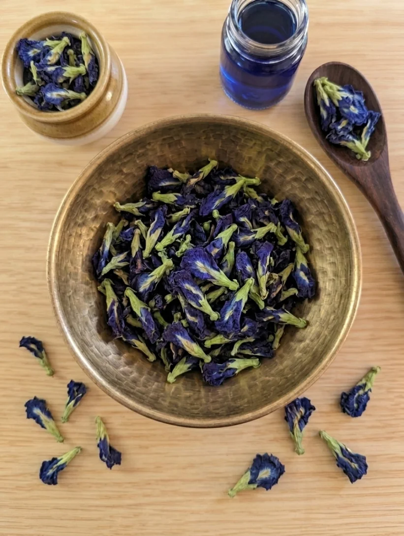 Fleur de Pea Bleu (Aparajita)