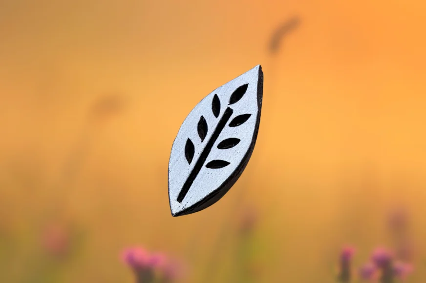 Feuille de printemps