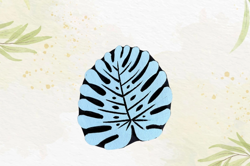 Monstera détaillée