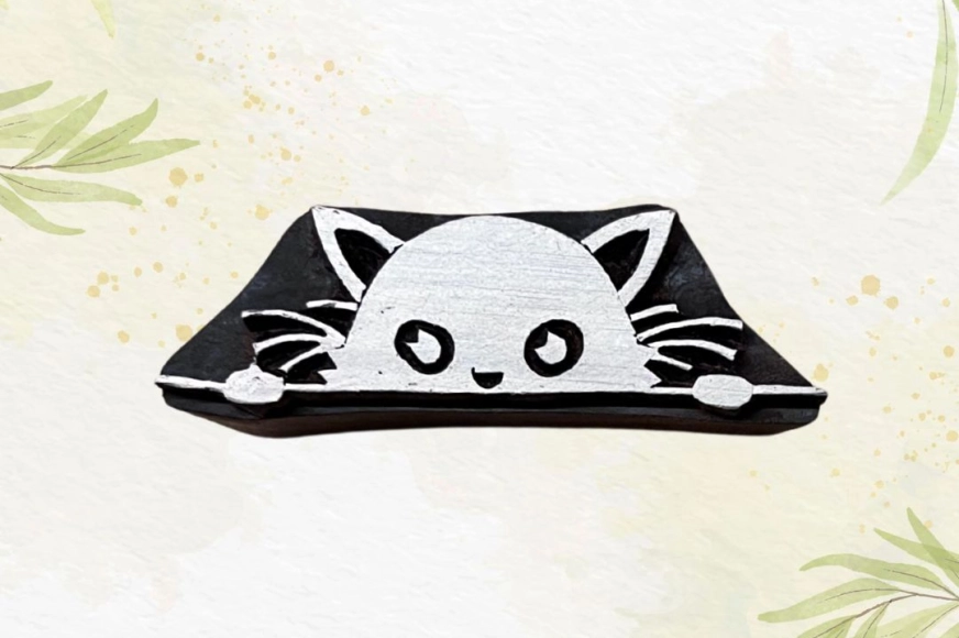 Cache cache avec le chat