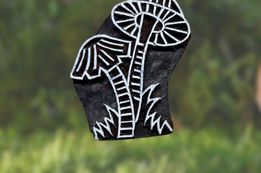 Champignons sauvages