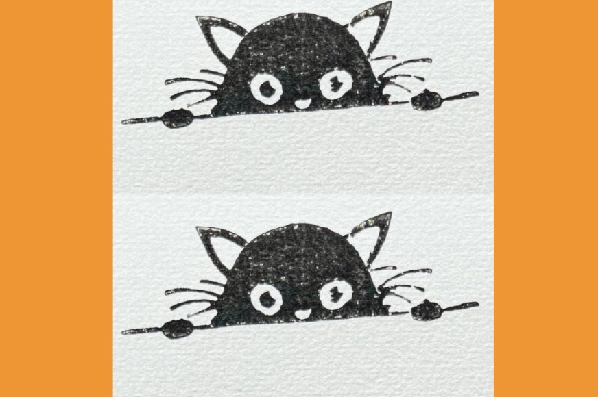 Cache cache avec le chat