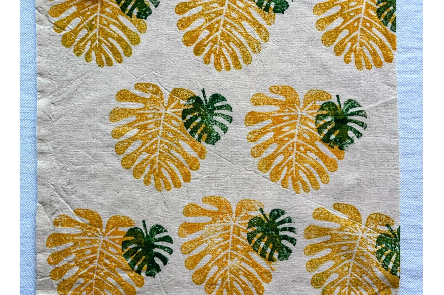 Monstera détaillée