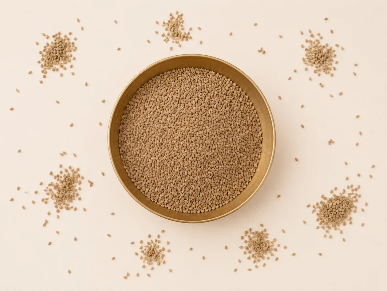 Graines d'ajwain du Rajasthan