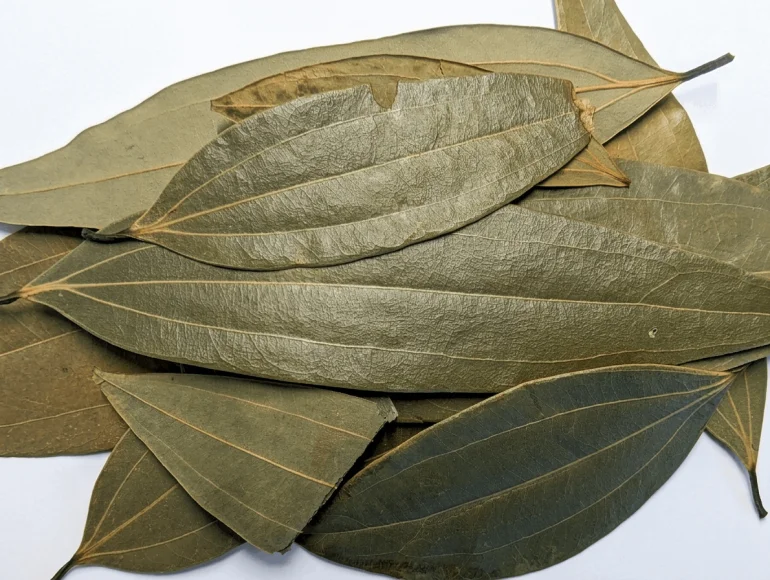 Feuilles de laurier indien (Tej Patta)